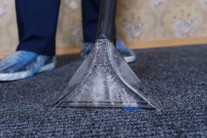Carpet Shampoo cleaning sydney